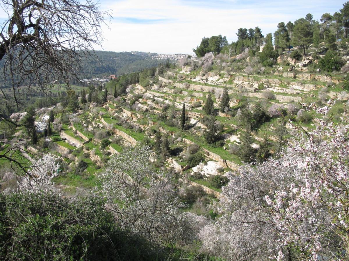 Khan Ein Karem Boutique Hotel Jérusalem Extérieur photo